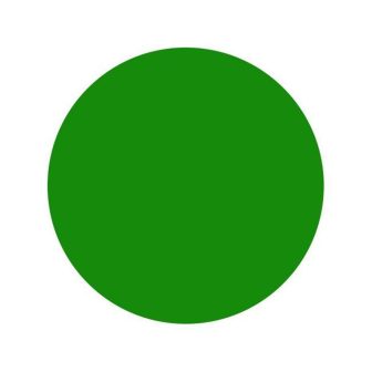 Light Green - Intenze Dövme Boyası - 1oz/30ml